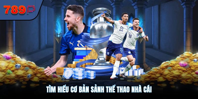 Tìm hiểu cơ bản sảnh thể thao nhà cái